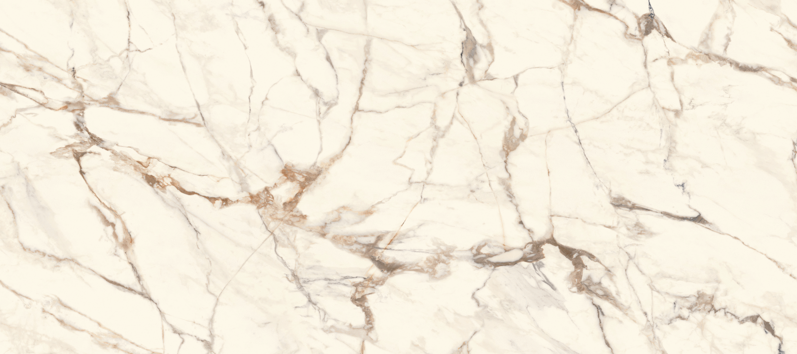 Gold Polished 120x270 (2700x1200)