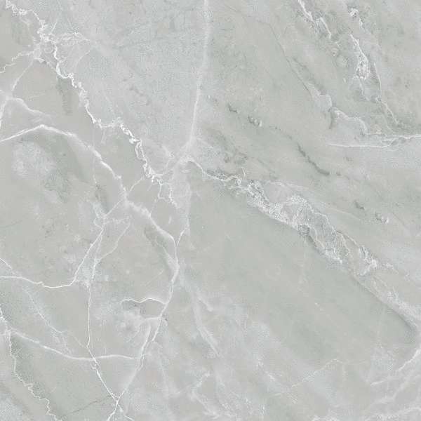 Light Grey Polished 60x60 (600x600)