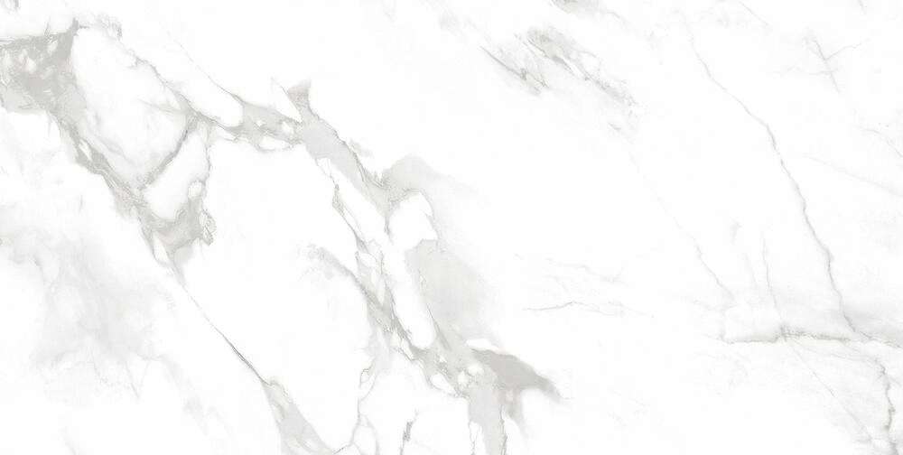 White Matt 60x120 (1200x600)