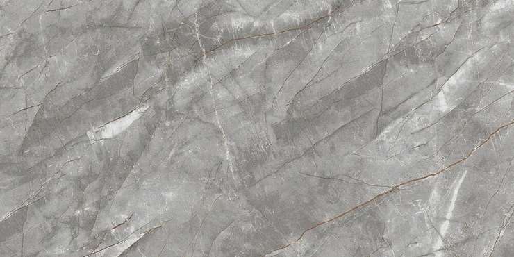 Примавера Vezin Grey Polished 60x120