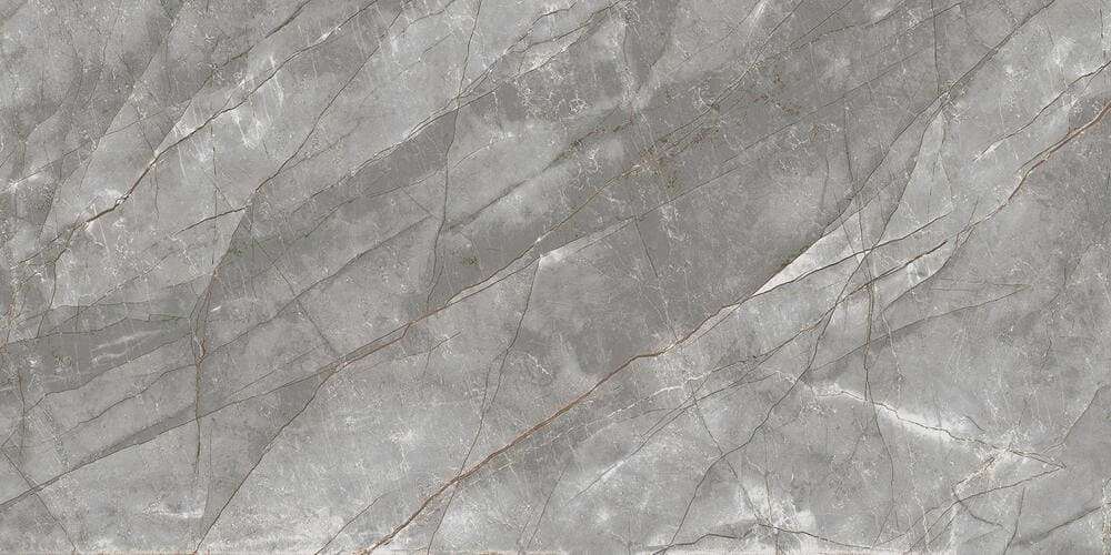 Grey Polished 60x120 (1200x600)