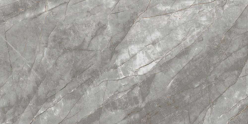 Grey Polished 60x120 (1200x600)