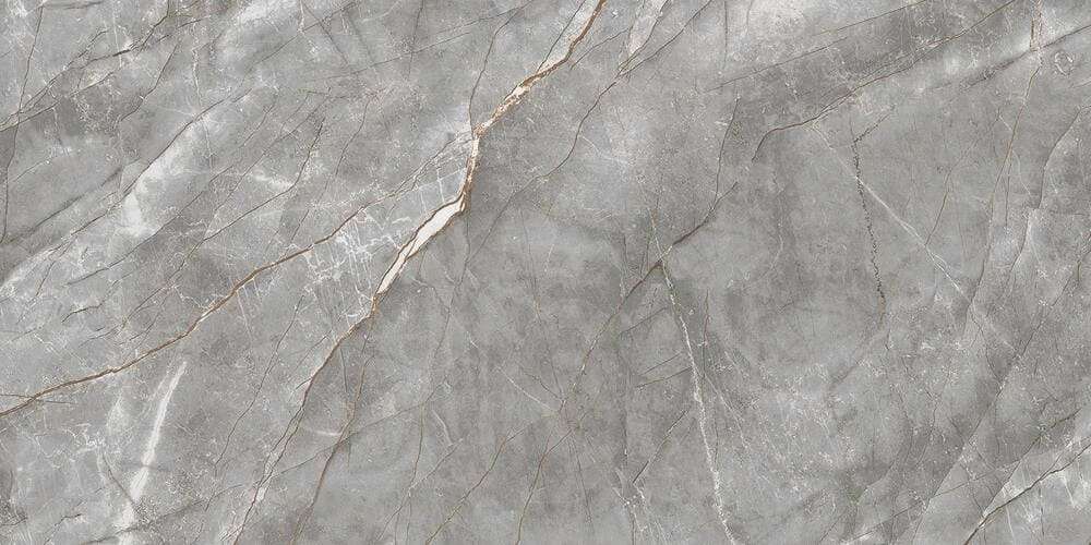 Grey Polished 60x120 (1200x600)