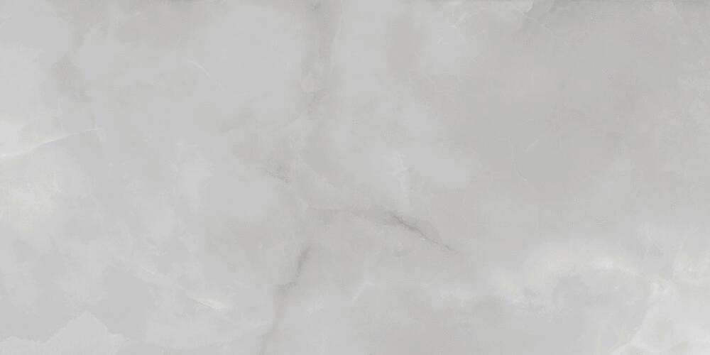 Grey Polished 60x120 (1200x600)