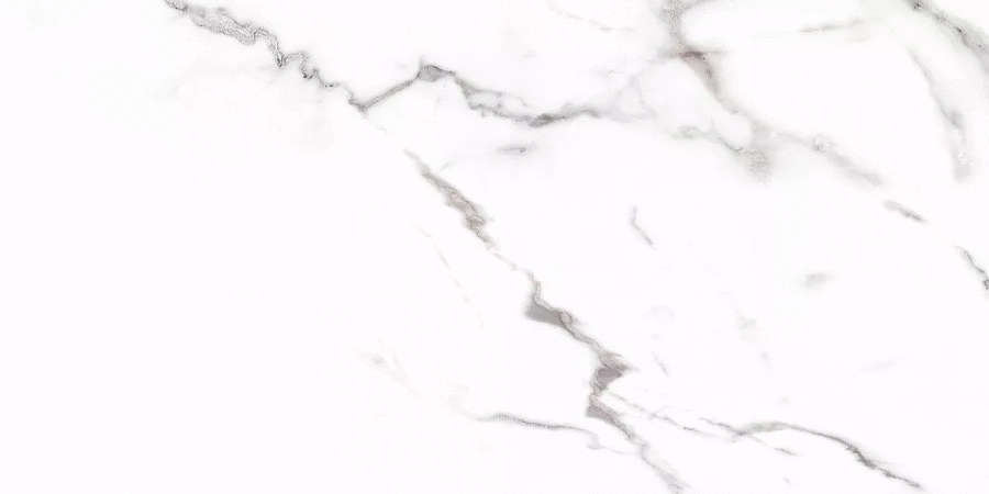 Carrara 120x60 Матовый (1200x600)