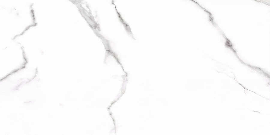 Carrara 120x60 Матовый (1200x600)