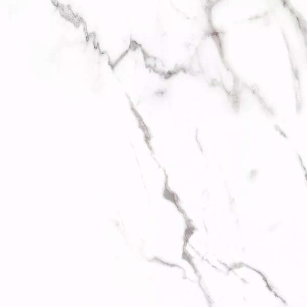 Carrara 60x60 Матовый (600x600)