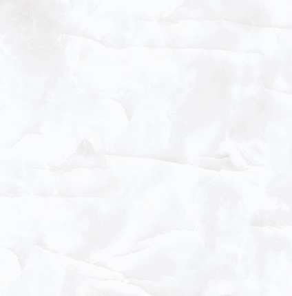 Реалистик Coin White Glossy 60x60