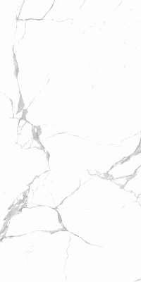 White polished (600x1200)