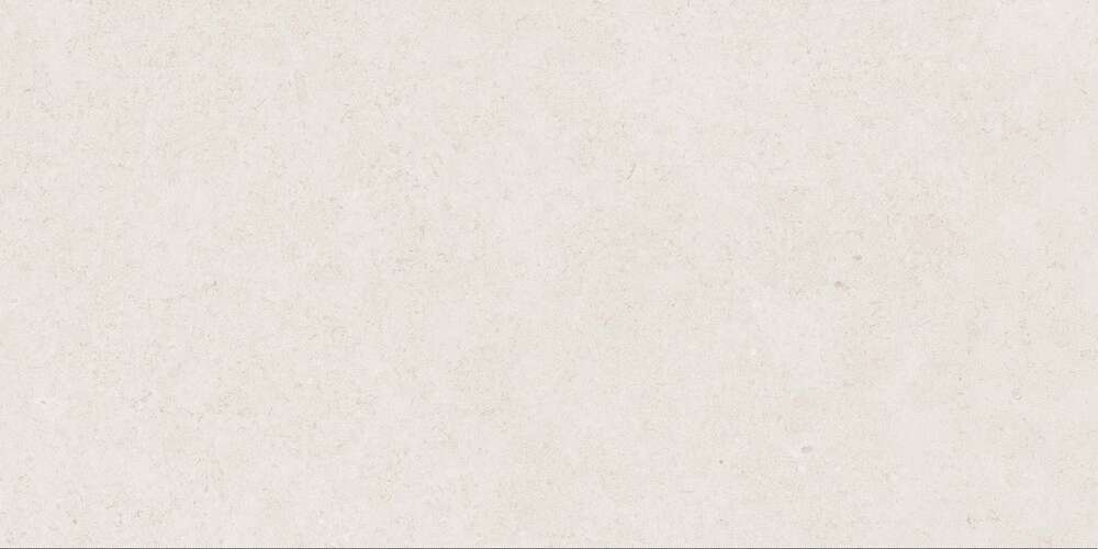 Light Grey Gloss 60x120 (1200x600)
