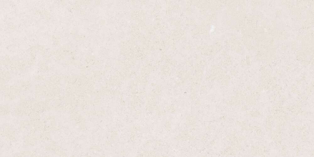 Light Grey Gloss 60x120 (1200x600)