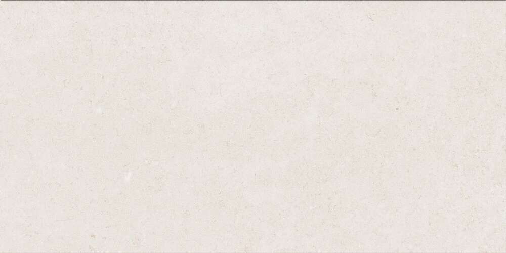 Light Grey Gloss 60x120 (1200x600)