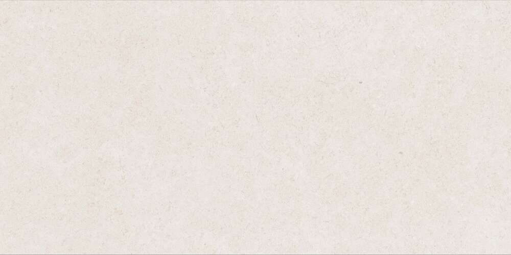 Light Grey Gloss 60x120 (1200x600)