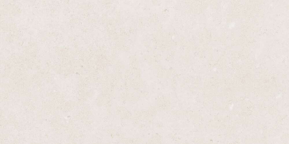 Light Grey Gloss 60x120 (1200x600)