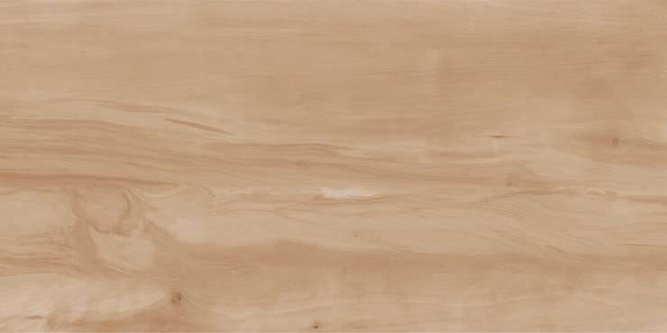 Реалистик Paint Wood Bone Gloss 60x120