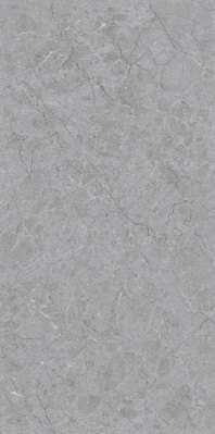 Grey Expo Matt Carving 60x120 (600x1200)