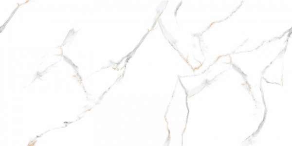 White 17 Punch 60x120 Statuario (1200x600)