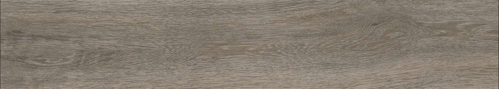 Natural Matt 20x120 (1200x200)