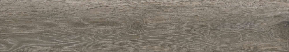 Natural Matt 20x120 (1200x200)