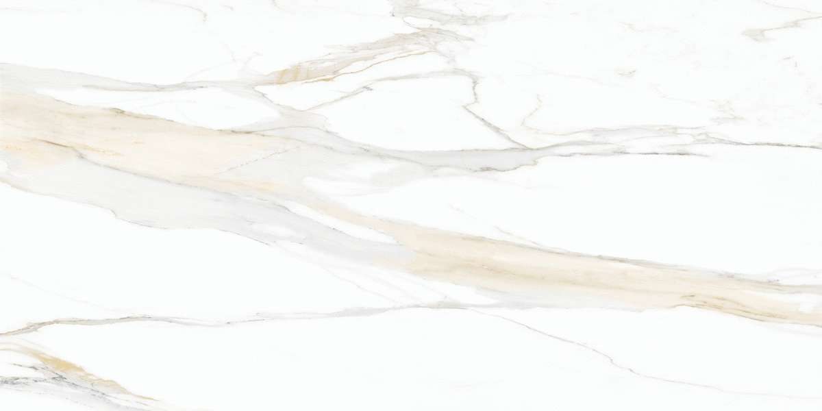 Calacatta Gold Matte Ret 60x120 (1200x600)