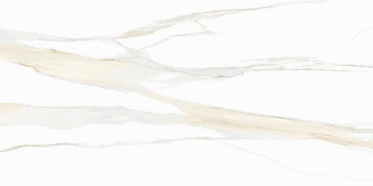 Calacatta Gold Matte Ret 60x120 (1200x600)