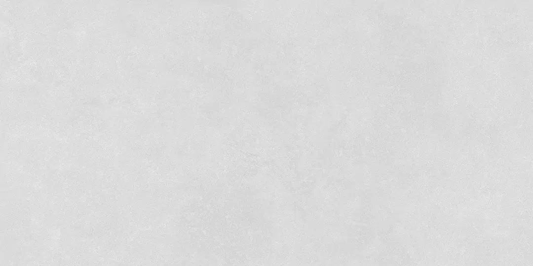 Light Gray Matt 60x120 (1200x600)