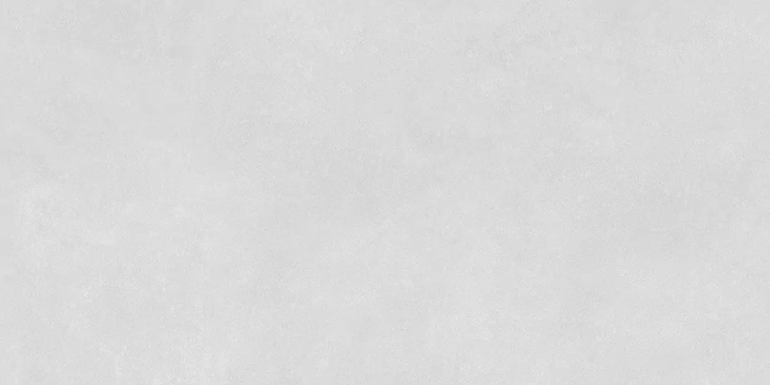 Light Gray Matt 60x120 (1200x600)