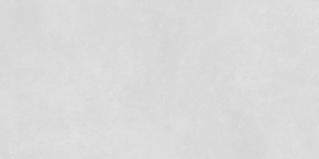 Light Gray Matt 60x120 (1200x600)
