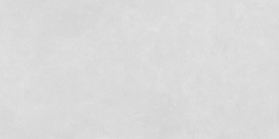 Light Gray Matt 60x120 (1200x600)