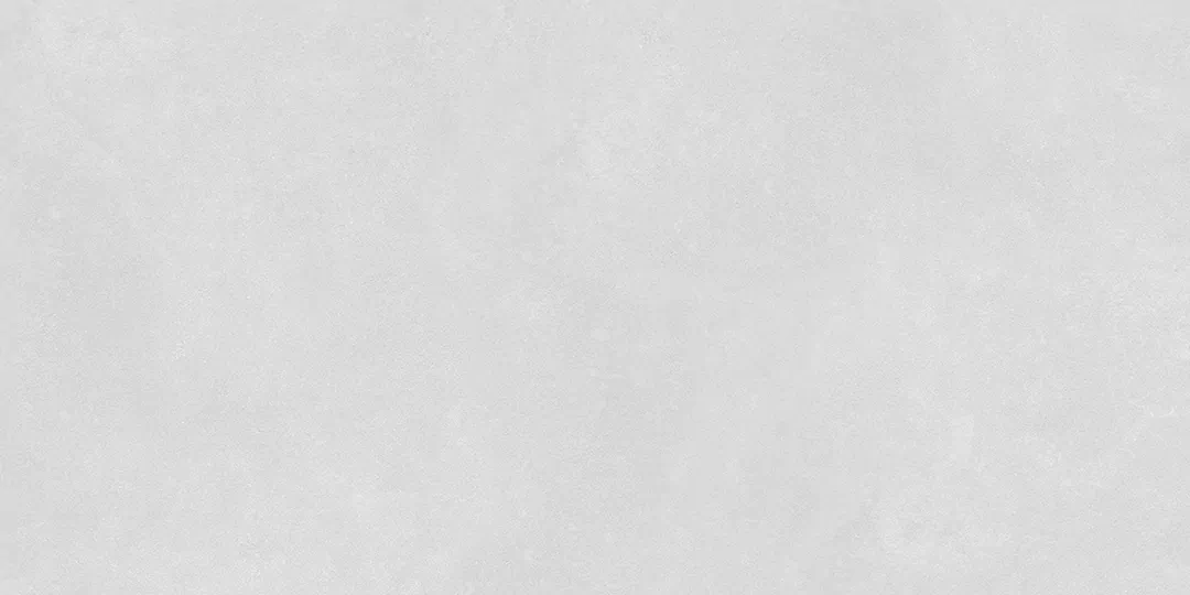 Light Gray Matt 60x120 (1200x600)