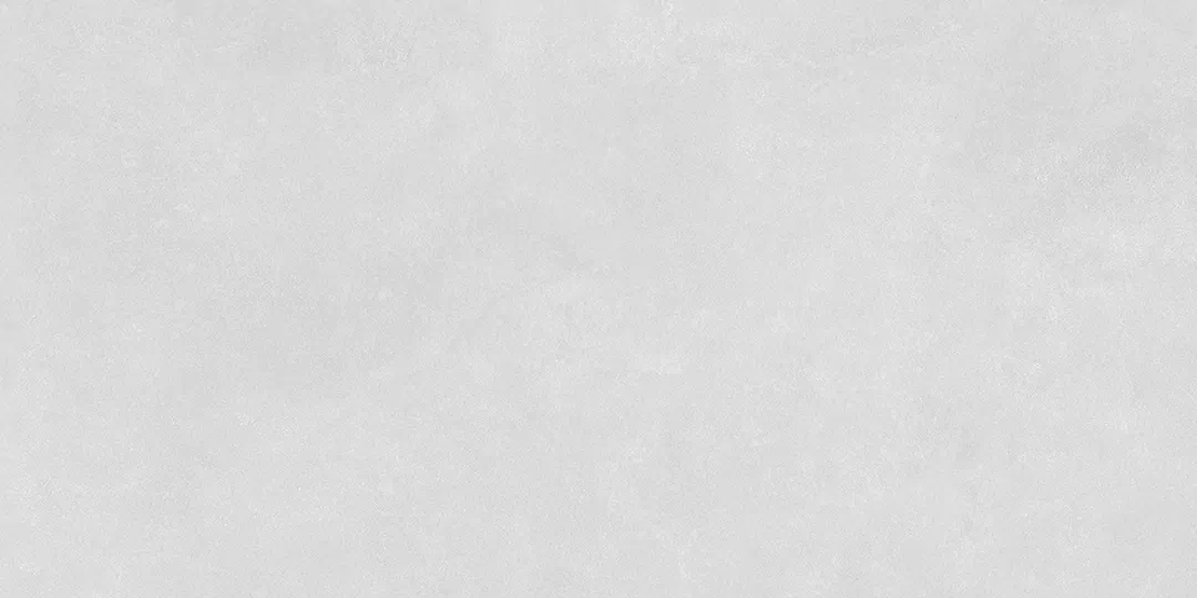 Light Gray Matt 60x120 (1200x600)