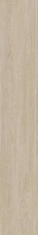Maple  Rc. 20x120 (200x1200)