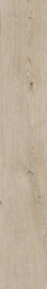 Maple  Rc. 20x120 (200x1200)