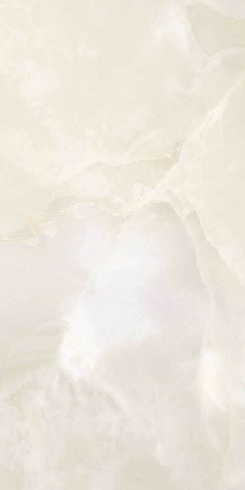 Polished (600x1200)