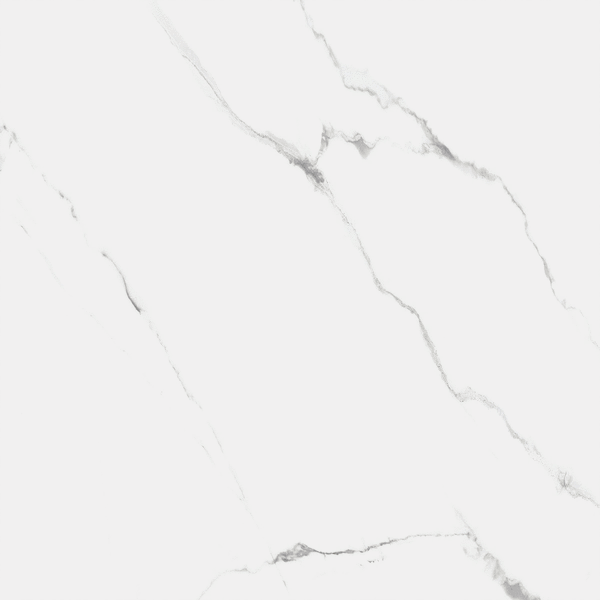 Polished 60x60 (600x600)