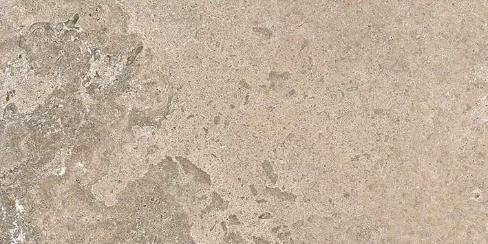 Taupe 60x120 (1200x600)