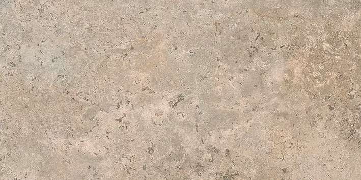 Taupe 60x120 (1200x600)