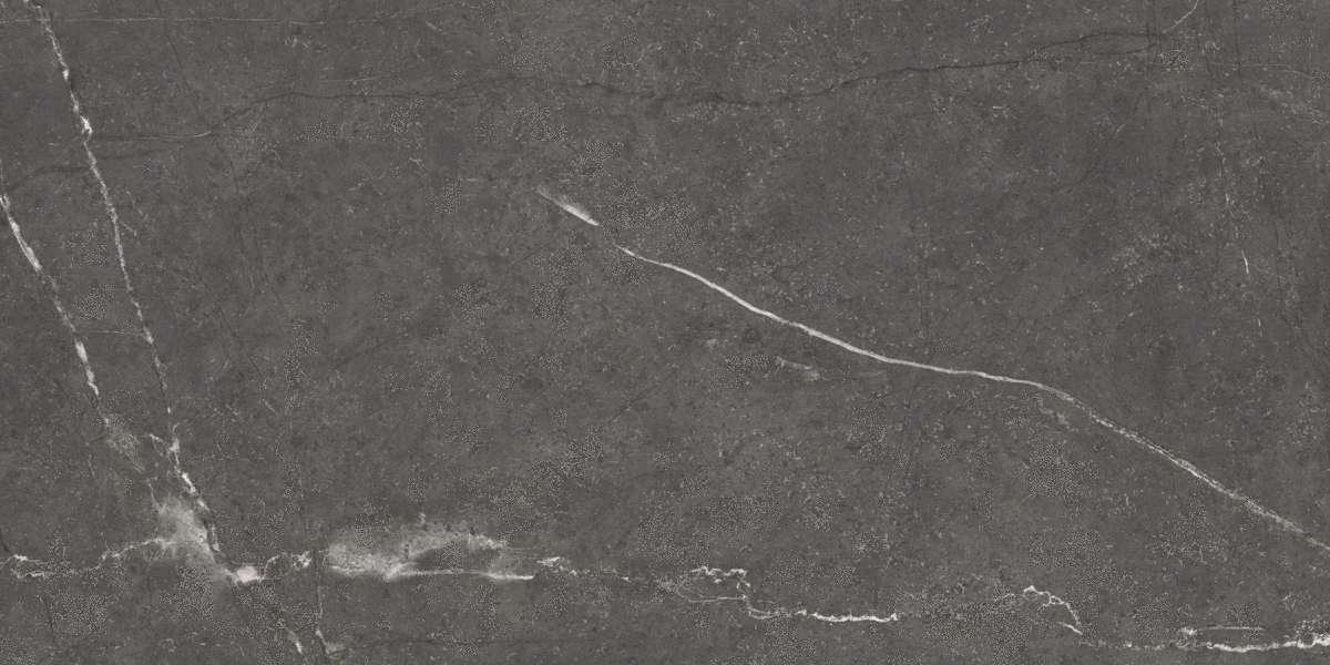 Anthracite M 60x120 (1200x600)