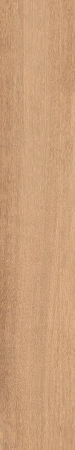 Honey 30180 Nat Rect 30x180 (300x1800)