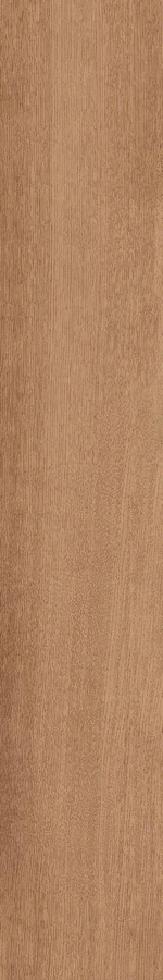 Natural 30180 Nat Rect 30x180 (300x1800)