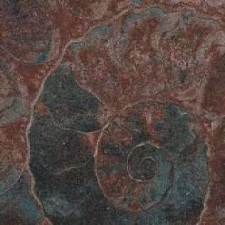 Fossil Mix 33x33 (330x330)