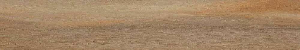 Leccio Classico Ret 20x120 (1200x200)