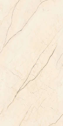 Сонекс Тайл Sahara Beige 60x120 Carving