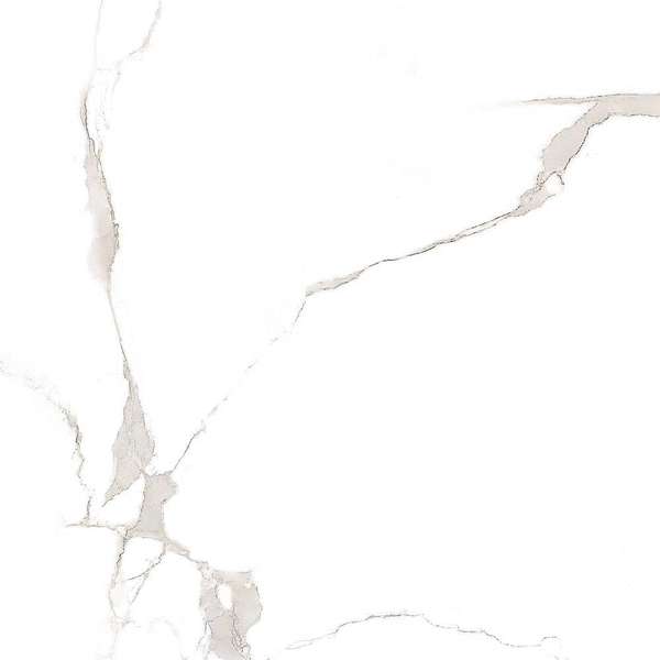 Carrara White Глянцевый (600x600)