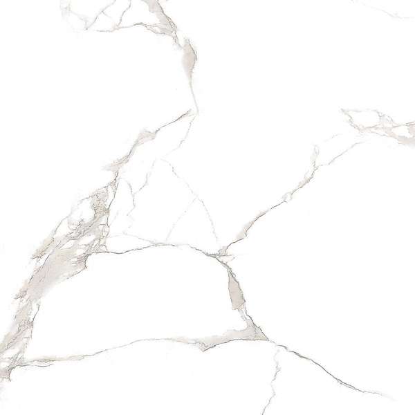 Carrara White Глянцевый (600x600)