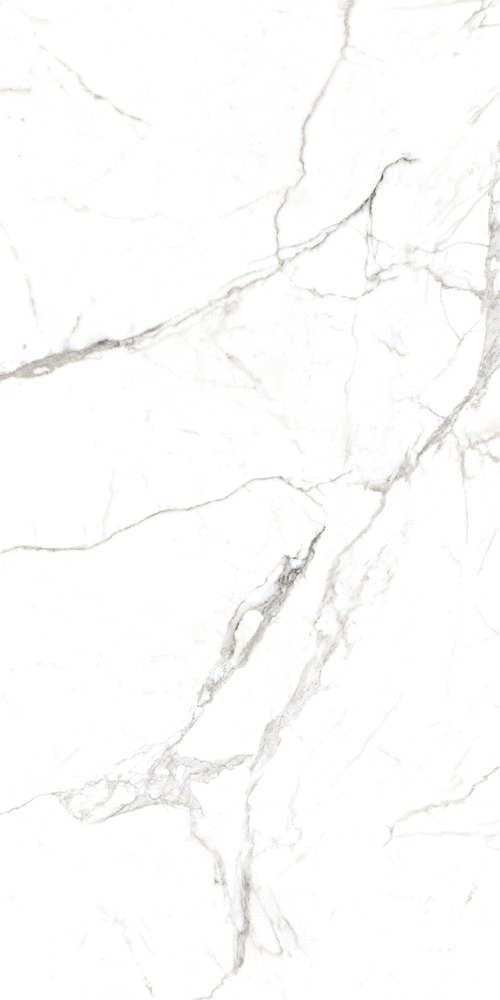 Regal Carrara White Матовый Карвинг (800x1600)