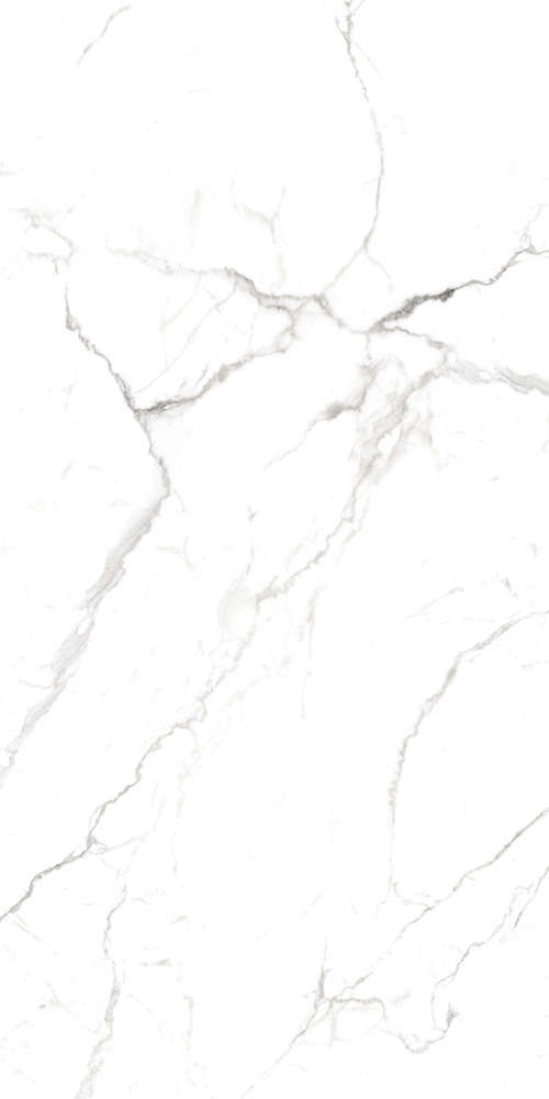 Regal Carrara White Матовый Карвинг (800x1600)