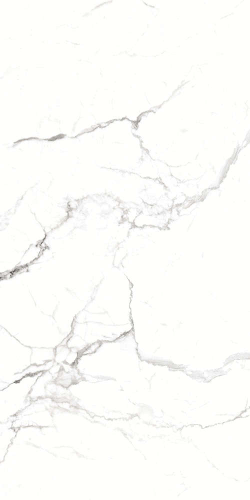 Regal Carrara White Матовый Карвинг (800x1600)