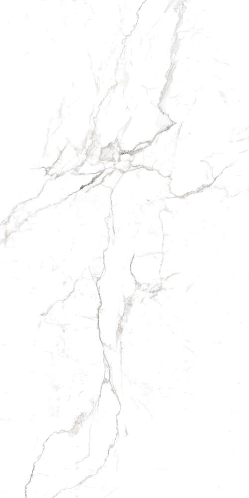 Regal Carrara White Матовый Карвинг (800x1600)