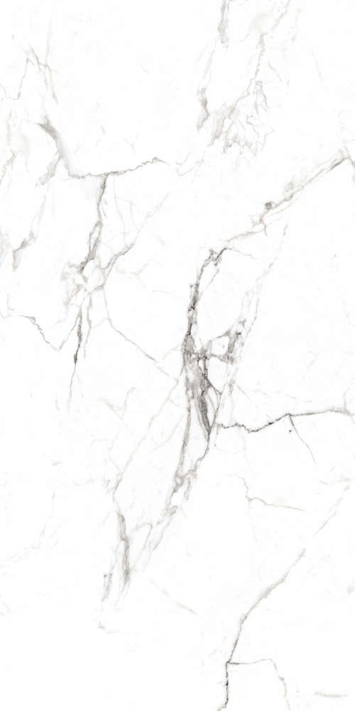 Regal Carrara White Матовый Карвинг (800x1600)